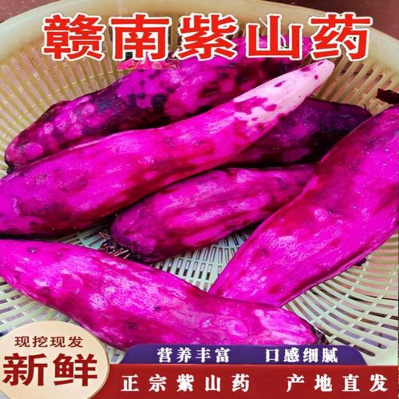 赣州的风土人情与特色美食——味蕾上的探寻之旅